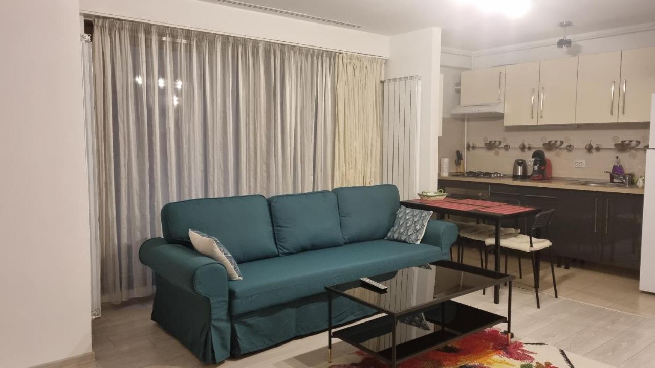 公寓 Tibiscum Apartament, *